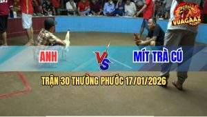 Trận 30 Thường Phước 17/1/2026 - Gà Khét Anh Mít Gom Bồ Đá Bướm Xì Cơm