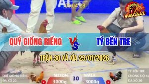 Trận 30 Xà Xía 23/1/2026 - Que Nghệ Đâm Gà Điều Chồng Độ Bể Bóng Đèn