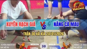 Trận 30 Xà Xía 24/1/2026 - Điều Bao Bồ Bị Khét Đâm Hang Cua Té Sấp Mặt