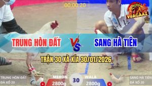 Trận 30 Xà Xía 30/1/2026 - Bướm Anh Sang May Độ Đá Cây Cần Cổ Lụm Tiền