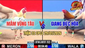 Trận 32 CPC3 29/1/2026 - Bướm Đâm Quá, Điều Má Minh Chịu Không Nổi