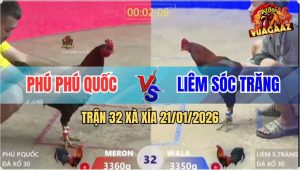 Trận 32 Xà Xía 21/1/2026 - Điều Đỏ Bến Thế Đá Xanh Không Có Đường Về