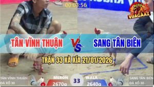 Trận 33 Xà Xía 21/1/2026 - Bướm Hiệu Anh Tân Đá Bướm Xanh Khỏi Tha Lơ
