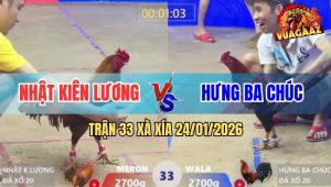 Trận 33 Xà Xía 24/1/2026 - Gà Que Anh Hưng Phút 90 Đá Bo Như Xe Đụng