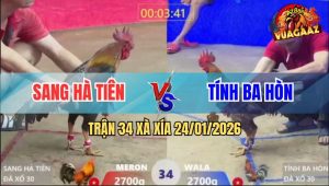 Trận 34 Xà Xía 24/1/2026 - Điều Bươi Chà Như Máy Khâu, Xám Chết Đứng