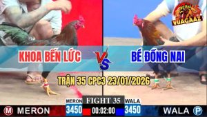 Trận 35 CPC3 23/1/2026 - Que Chân Tiên Đá Điều Té Tại Chỗ, Ăn 1 Quá Đã