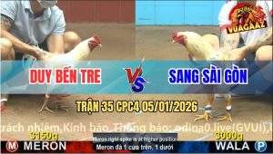 Trận 35 CPC4 5/1/2026 - Úa Anh Duy Đá Cây Trên Cây Dưới Xử Gọn Gà Bướm