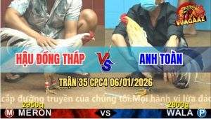 Trận 35 CPC4 6/1/2026 - Bướm Xanh Đá Như Máy, Đỏ Té Ngửa Sau 3 Giây