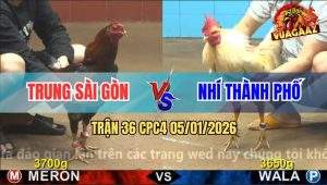 Trận 36 CPC4 5/1/2026 - Bướm Lá Anh Nhí Gục Ngã Trước Điều Anh Trung