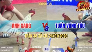 Trận 38 Xà Xía 24/1/2026 - Điều Nắm Đầu Bướm Đá Tới Tấp, Bướm Ói Chết