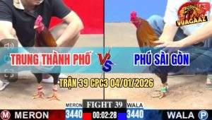 Trận 39 CPC3 4/1/2026 - Gà Anh Phú Xui Tang Dính Cây Cần Té Gãy Cổ