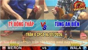 Trận 4 CPC4 16/1/2026 - Điều Chụp Vô Gom Hết Tiền Gà Khét Chân Ông Địa