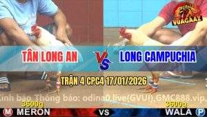 Trận 4 CPC4 17/1/2026 - Bướm Bao Đâm, Úa Đâm Chán Chân Bỏ Miệng Hòa
