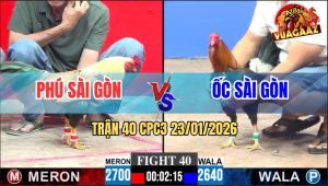 Trận 40 CPC3 23/1/2026 - Điều Anh Ốc Đá Chuối Hiệu Anh Phú Nằm Bẹp Dí