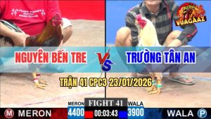 Trận 41 CPC3 23/1/2026 - Xanh Chấp Ngông, Đỏ Đá Không Còn Đường Về