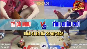 Trận 41 Xà Xía 24/1/2026 - Gà Điều Anh Tý Đá Xe Đạp Chổng Ngược