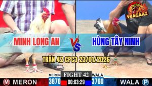 Trận 42 CPC3 23/1/2026 - Bướm Má Minh Đâm Chân Nào Có Tiền Chân Đó