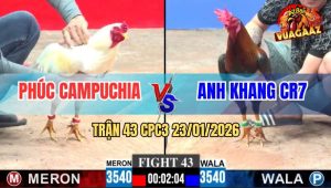 Trận 43 CPC3 23/1/2026 - Úa Bị Đá Trước Trả Lại Chân Điều Si Tang Chạy