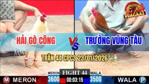 Trận 44 CPC3 23/1/2026 - Úa Anh Hải Gò Công Đứng Cầm Hơi Vừa Đủ Ăn Độ