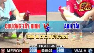 Trận 46 CPC3 4/1/2026 - Con Gục Con Bỏ Chiến Công, Bất Phân Thắng Bại