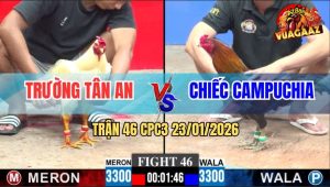 Trận 46 CPC3 23/1/2026 - Xanh Râu Đâm Đâu Dính Đó, Úa Vô Nạp Mạng