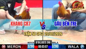 Trận 50 CPC3 23/1/2026 - Gà Khét Anh Gấu Đâm Xanh Mẻ Hiệu Idol Gục Đầu