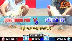 Trận 53 CPC3 8/1/2026 - Bướm Anh Dũng Đâm Thủng Lưng Bướm Anh Gấu
