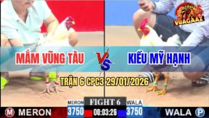 Trận 6 CPC3 29/1/2026 - Anh Mắm Và Anh Kiều Mỹ Hạnh Bất Phân Thắng Bại