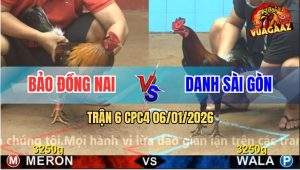 Trận 6 CPC4 6/1/2026 - Điều Vàng Gặp Xanh Que Bán Xe Trả Nợ