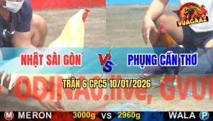 Trận 6 CPC5 10/1/2026 - Điều Đá Mấy Cây Ngực Đâm Bướm Ói Gục Tại Chỗ