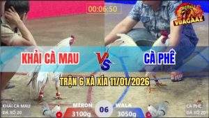 Trận 6 Xà Xía 11/1/2026 - Xanh Vô Kính Đá Đỏ Ngộp Đòn Chạy Trối Chết