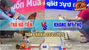 Trận 6 Xà Xía 23/1/2026 - Xanh Phạm Quy Đổi Nài Gồng Hều Đẳng Cấp