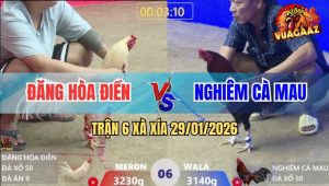 Trận 6 Xà Xía 29/1/2026 - Anh Đăng Hòa Điện Hạ Luôn Chủ Bồ