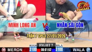 Trận 7 CPC3 27/1/2026 - Chuối Chân Xanh Đá Bướm Má Không Kịp Dỡ Giò