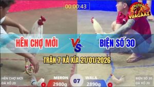 Trận 7 Xà Xía 21/1/2026 - Úa Hít Vô Đâm Bướm Dựng Tóc Gáy Bung Chạy