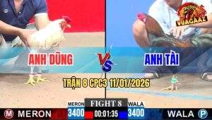 Trận 8 CPC3 11/1/2026 - Que Đá Bướm Gãy Giò Ăn Nhẹ Như Đẩy Xe Hàng