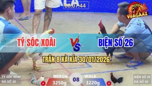 Trận 8 Xà Xía 30/1/2026 - Điều Đâm Bướm Bại Liệt Trong 1 Nốt Nhạc