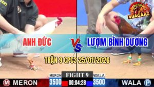 Trận 9 CPC3 25/1/2026 - Úa Vô Đưa Ngực, Điều Đâm Thủng Tim Chết Tươi