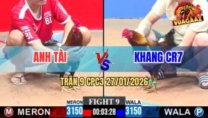 Trận 9 CPC3 27/1/2026 - Gà Xám Anh Khang Chưa Đá Đã Nhơ Nhà