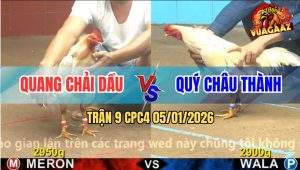 Trận 9 CPC4 5/1/2026 - Úa Anh Quang Đá Như Sấm Đánh Bướm Hết Đường Về