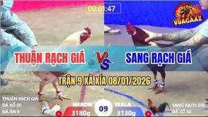 Trận 9 Xà Xía 8/1/2026 - Bướm Anh Thuận Rạch Giá Đâm Như Sơ Mít