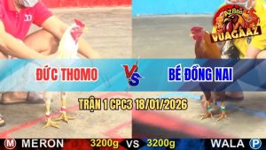 Trận 1 CPC3 18/01/2026
