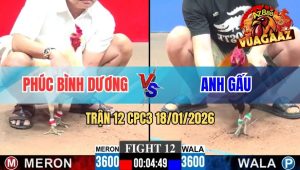 Trận 12 CPC3 18/01/2026