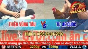 Trận 15 CPC5 02/01/2026