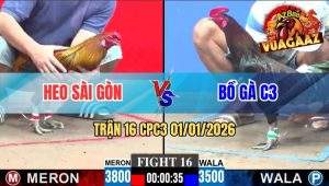 Trận 16 CPC3 01/01/2026