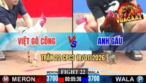 Trận 22 CPC3 18/01/2026