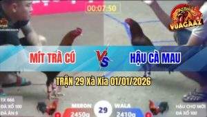 Trận 29 Xà Xía 01/01/2026