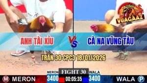 Trận 30 CPC3 18/01/2026