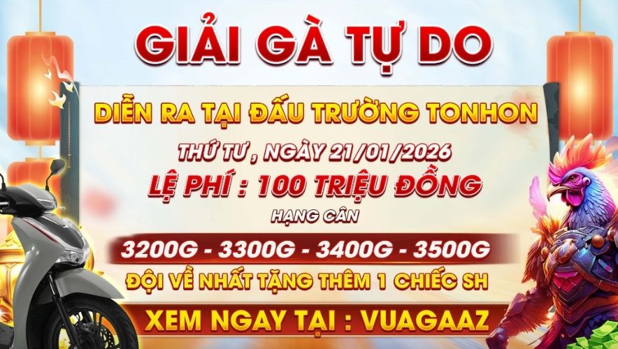 Giải Gà Tự Do Ngày 21/01/2025 Tại Bồ Gà Tonhon Giải Gà Tự Do Ngày 21/01/2025 Tại Bồ Gà Tonhon