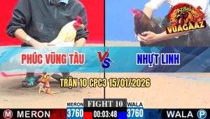Trận 10 CPC3 15/01/2026
